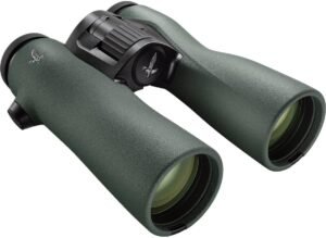 compact binoculars, best hunting binoculars