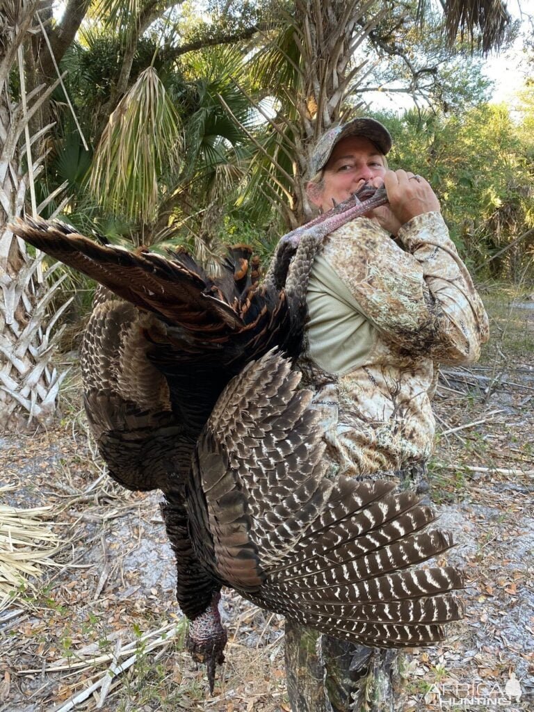 Florida Turkey Hunting: What You Need to Know