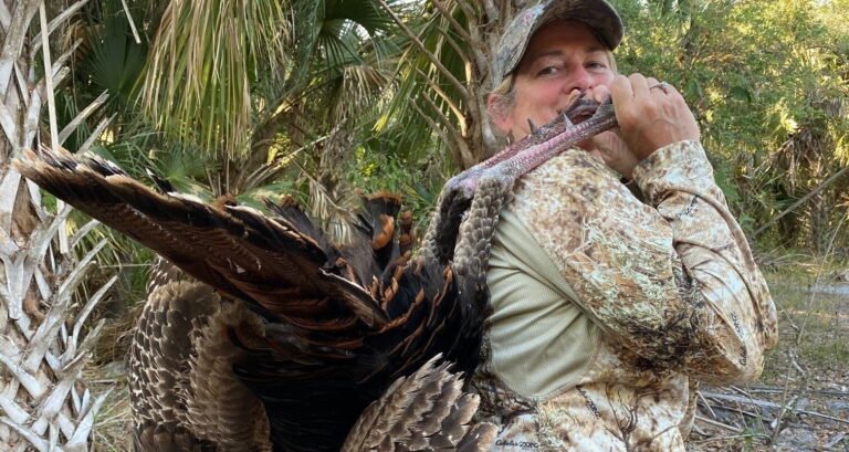 florida osceola turkey hunts, florida wild turkey, osceola turkey hunts